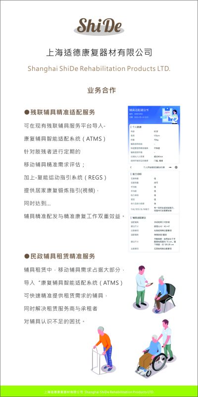 Assistive Technology Device Matching System-