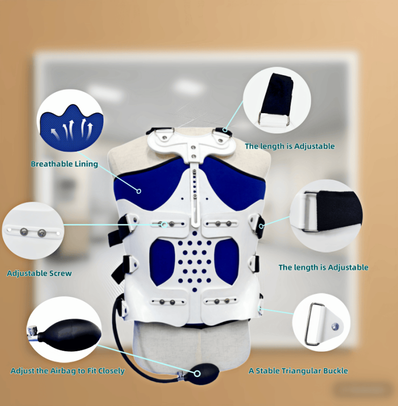 胸腰椎固定支具-