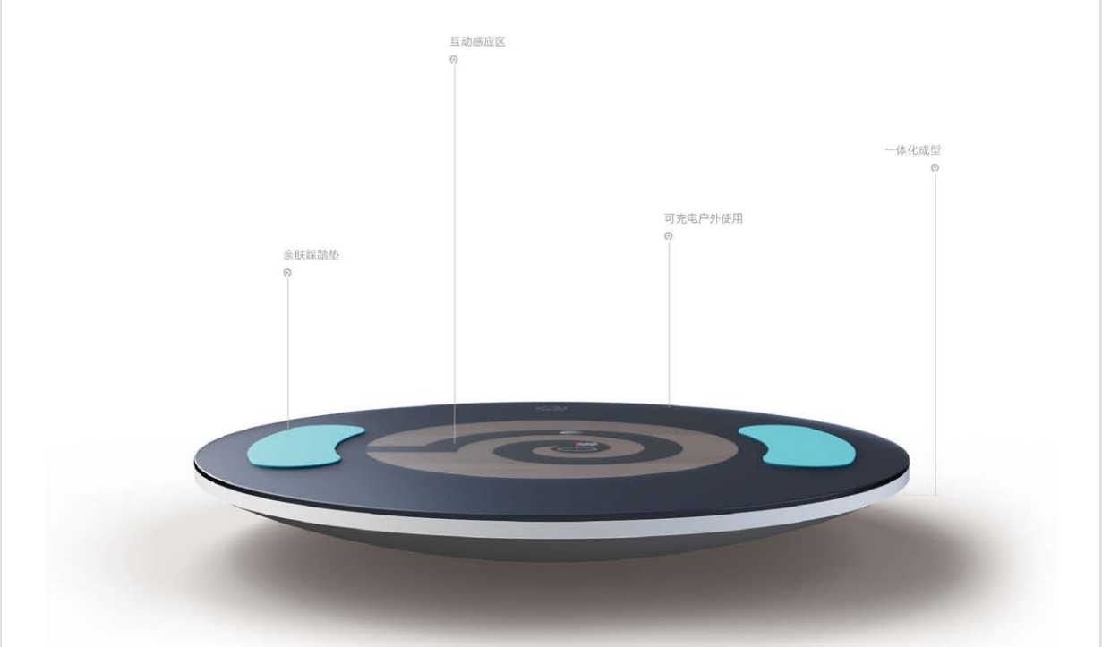 Sensory Integration Balance Trainer